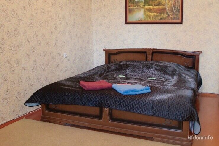 Просторная 1комн. квартира с гигантской кроватью на часы, сутки в Витебске — фото 1