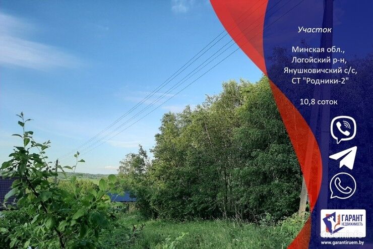 УЧАСТОК 10,8 соток - деревня Янушковичи - СТ «Родники-2» — фото 1