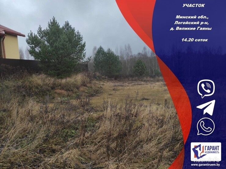 Участок в деревне Великие Гаяны. Мядельское напр. 25 км. от МКАД. Логойский р-н. — фото 1