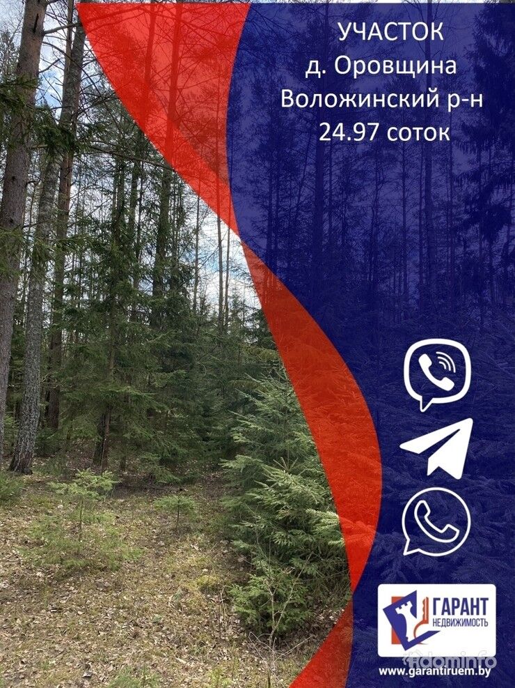 Участок в лесу – Хутор – 35 км от Минска, Раковское направление — фото 1