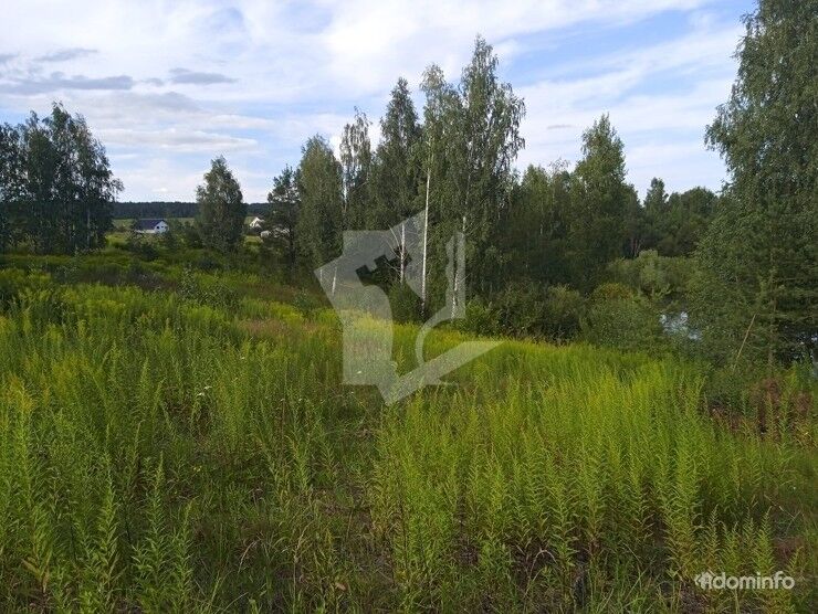 Участок 63 сотки, д. Обчак, 10.5 км от МКАД, Могилевское направление — фото 1