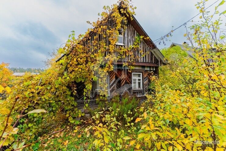 Дача у леса. Продается отличная дача в 26 км от Минска. — фото 2