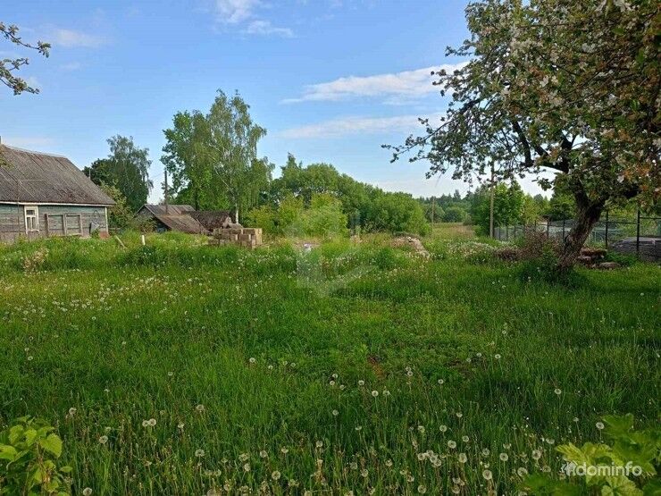 Продаётся участок с НЗКС 9х12 в Дзержинском р-н д. Жилевщина, 30 км от МКАД — фото 5