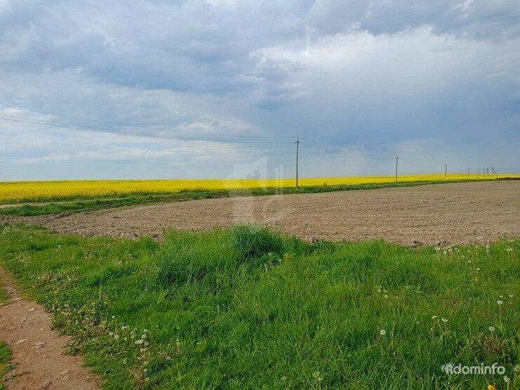 Продаётся участок с НЗКС 9х12 в Дзержинском р-н д. Жилевщина, 30 км от МКАД — фото 15