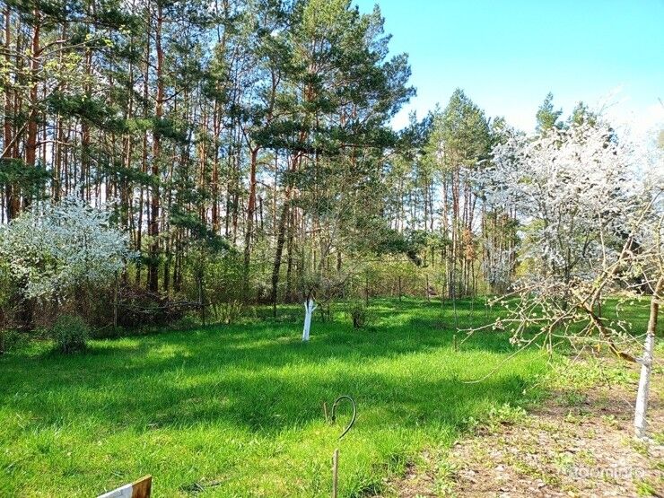 Продам дачу возле леса и реки Свислочь,с гаражом и баней, в 19 км от МКАД — фото 18