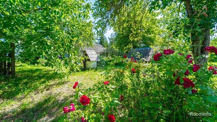 Продам дом с участком в деревне Ушанка, 35 км от МКАД — фото 6