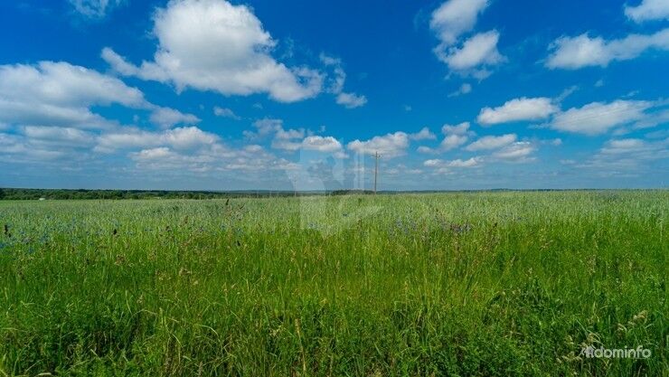 Капитальный дом для круглогодичного проживания в живописной деревне Айнаровичи — фото 19