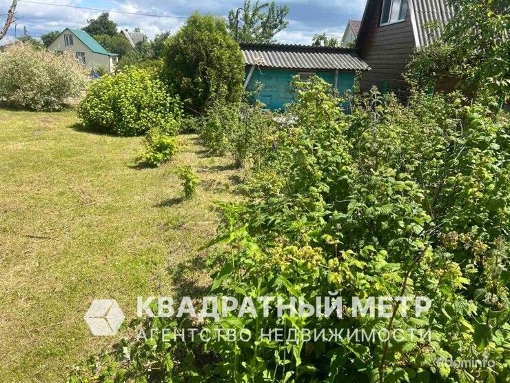 Купить дачу, с/т Пралеска-плюс (Воложинский р-н, Минская область) — фото 1