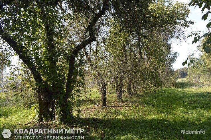 Купить 1-комнатную квартиру, д. Пятевщина, ул. Березовая, 6 (Минский р-н, Минская область) — фото 18