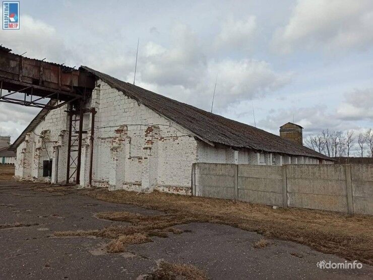 Купить склад+офис, аг. Парафьяново, ул. Советская, 20/б (Докшицкий р-н, Витебская область) — фото 9