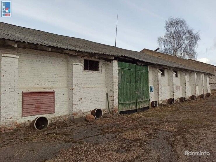 Купить склад+офис, аг. Парафьяново, ул. Советская, 20/б (Докшицкий р-н, Витебская область) — фото 16