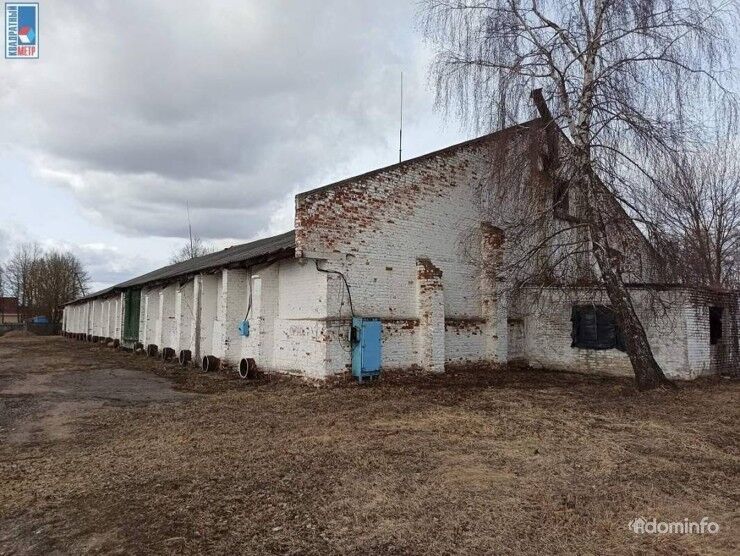 Купить склад+офис, аг. Парафьяново, ул. Советская, 20/б (Докшицкий р-н, Витебская область) — фото 7