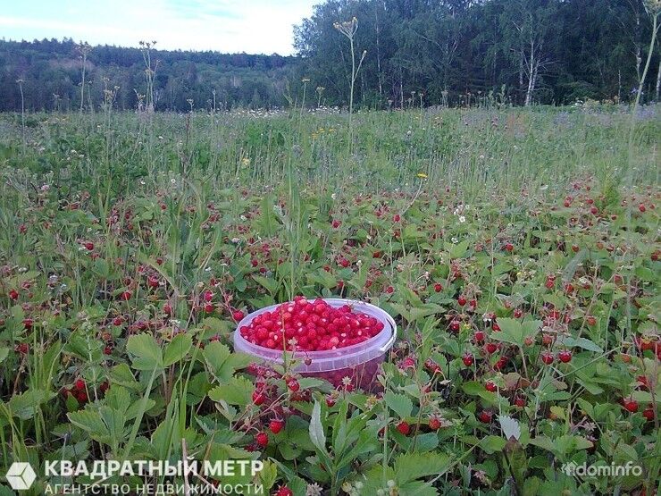 Продается участок с домом рядом с жд.станцией Лоси, Молодеченский р-н, в 40 км от МКАД — фото 9