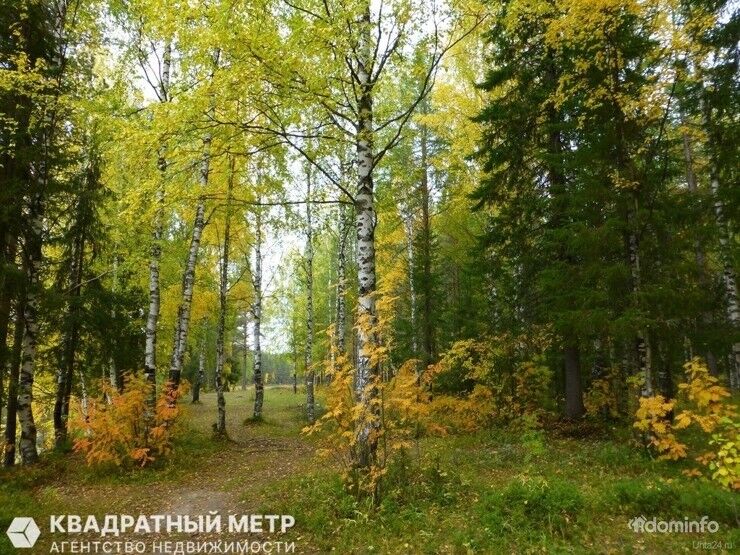 Продается участок с домом рядом с жд.станцией Лоси, Молодеченский р-н, в 40 км от МКАД — фото 7