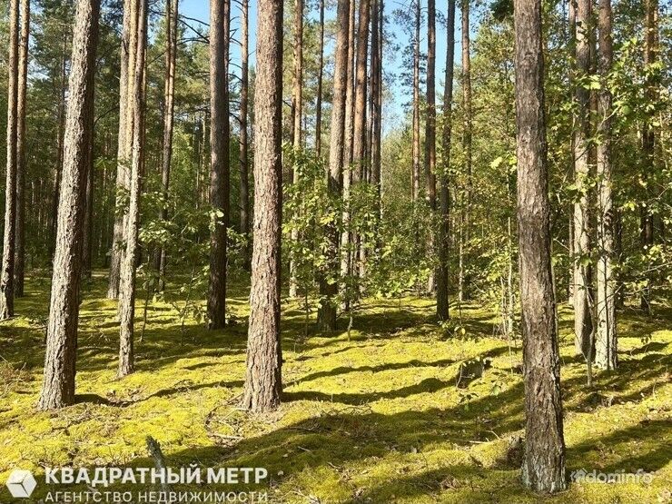 Продается участок с домом рядом с жд.станцией Лоси, Молодеченский р-н, в 40 км от МКАД — фото 4